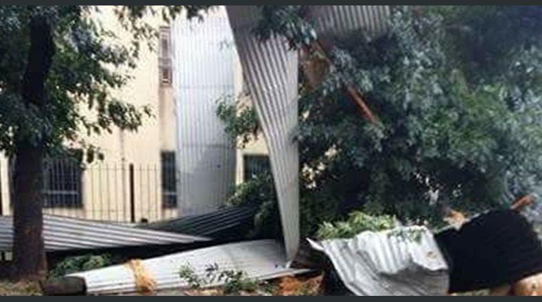 Temporal trágico en Pilar: Una mujer y sus dos hijas murieron al caer un árbol sobre su casa en La Lonja