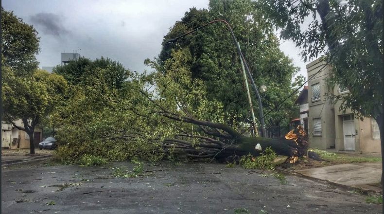 Temporal: trombas marinas, destrozos y vientos huracanados en la costa