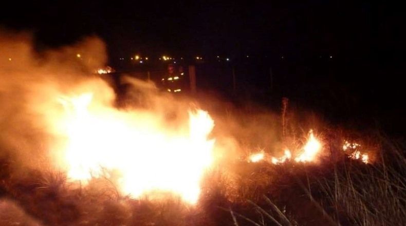 Un incendio en la reserva ecológica de Punta Lara inundó de humo a Buenos Aires